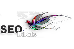 Birds-Логотип